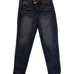 Wit & Wisdom | Blue | Skinny Jeans | 12P